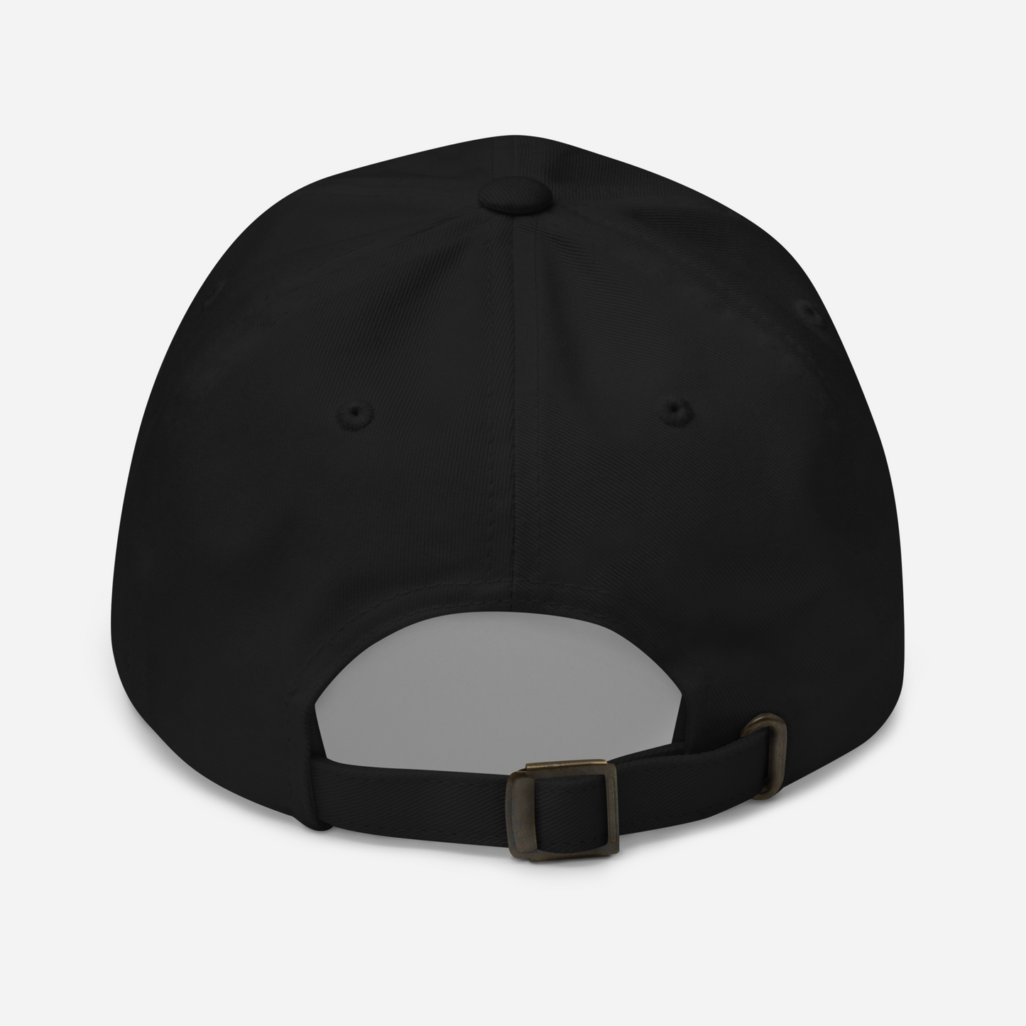 The Land Of Lizards Embroidery Baseball Cap