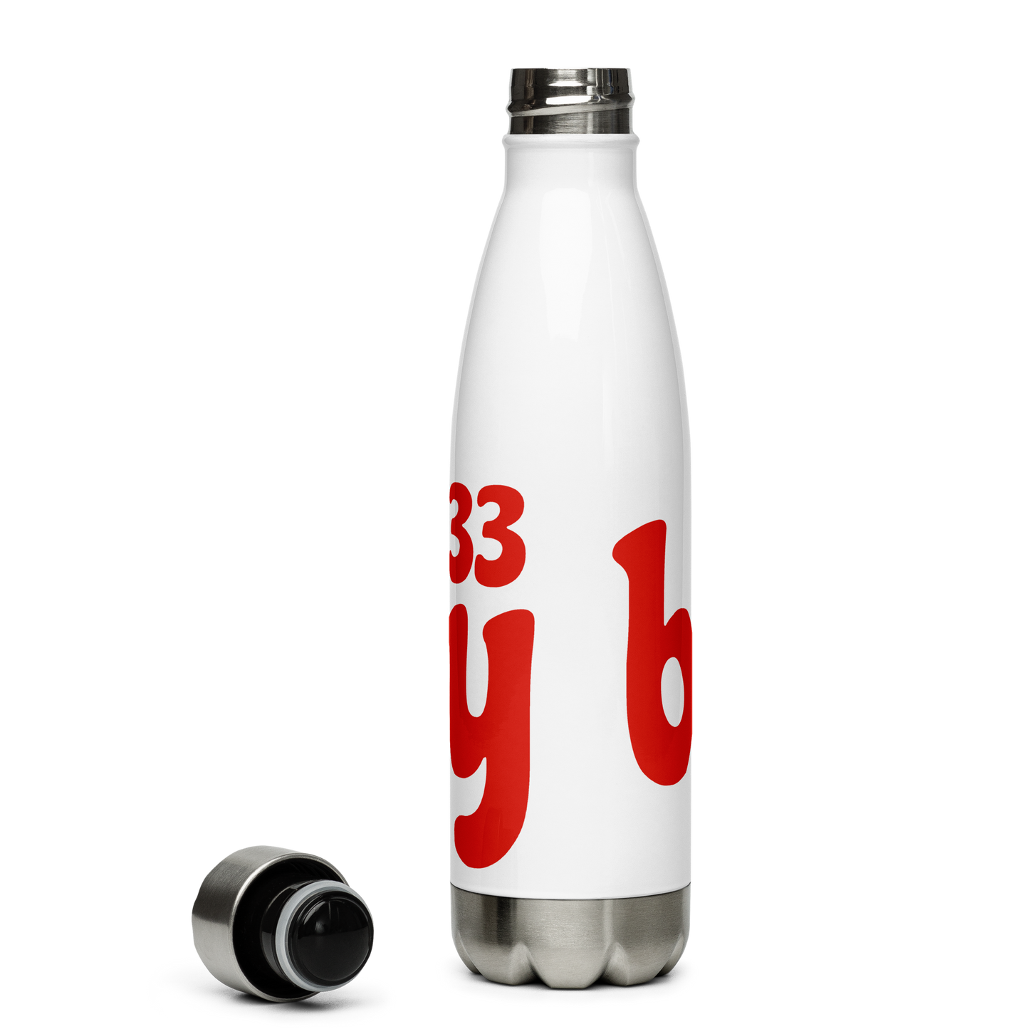 Bhilly 33 Stainless Steel Water Bottle 17oz | Printed Graphics