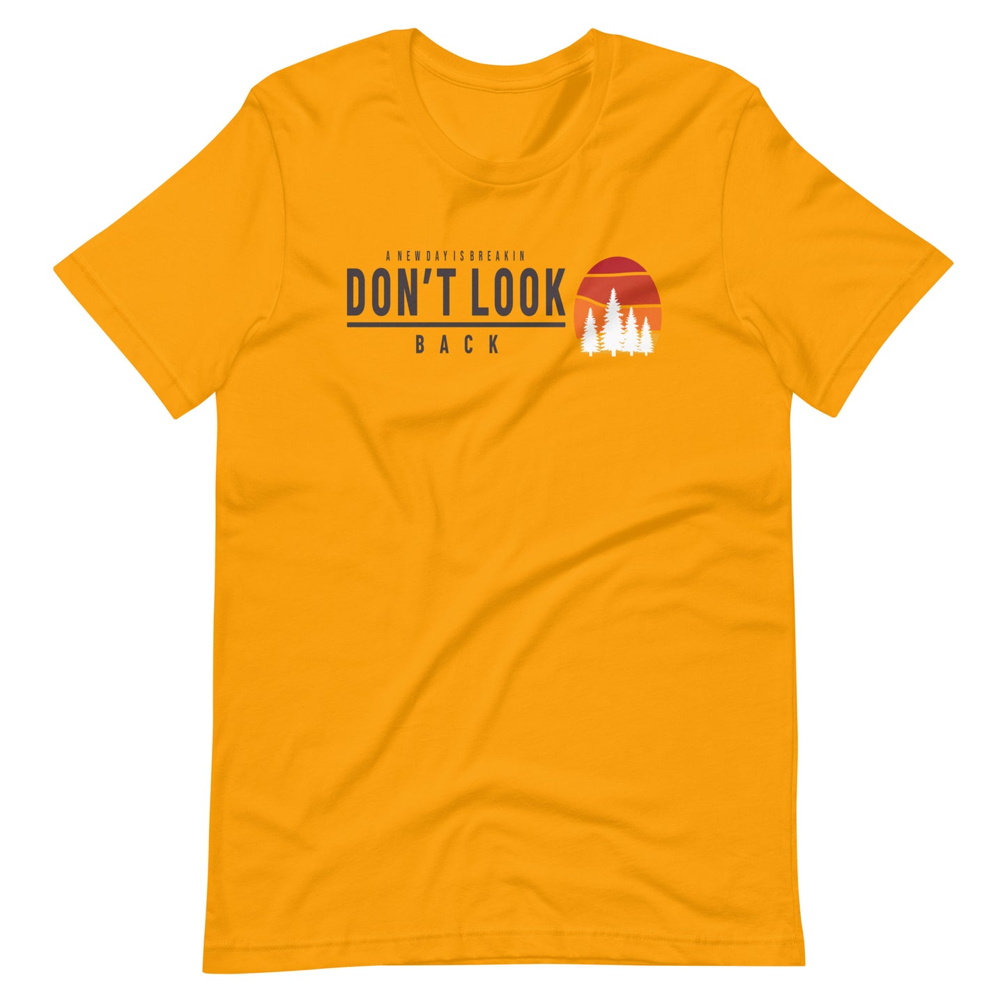 Don't Look Back Bella + Canvas Premium Cotton | 33 BMFS THE GOAT