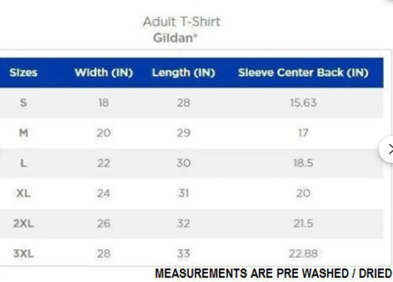 Catch and Release on Grey Shirt | Printed Graphics | Bluegrass | Billy Inspired Fan Art | Strings 33 BMFS