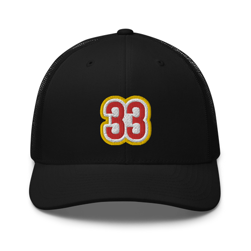 33 Trucker Snapback Cap | Flat Embroidery | Inspired Strings Art Cap | Lot Style Cap | Bluegrass Band Swag