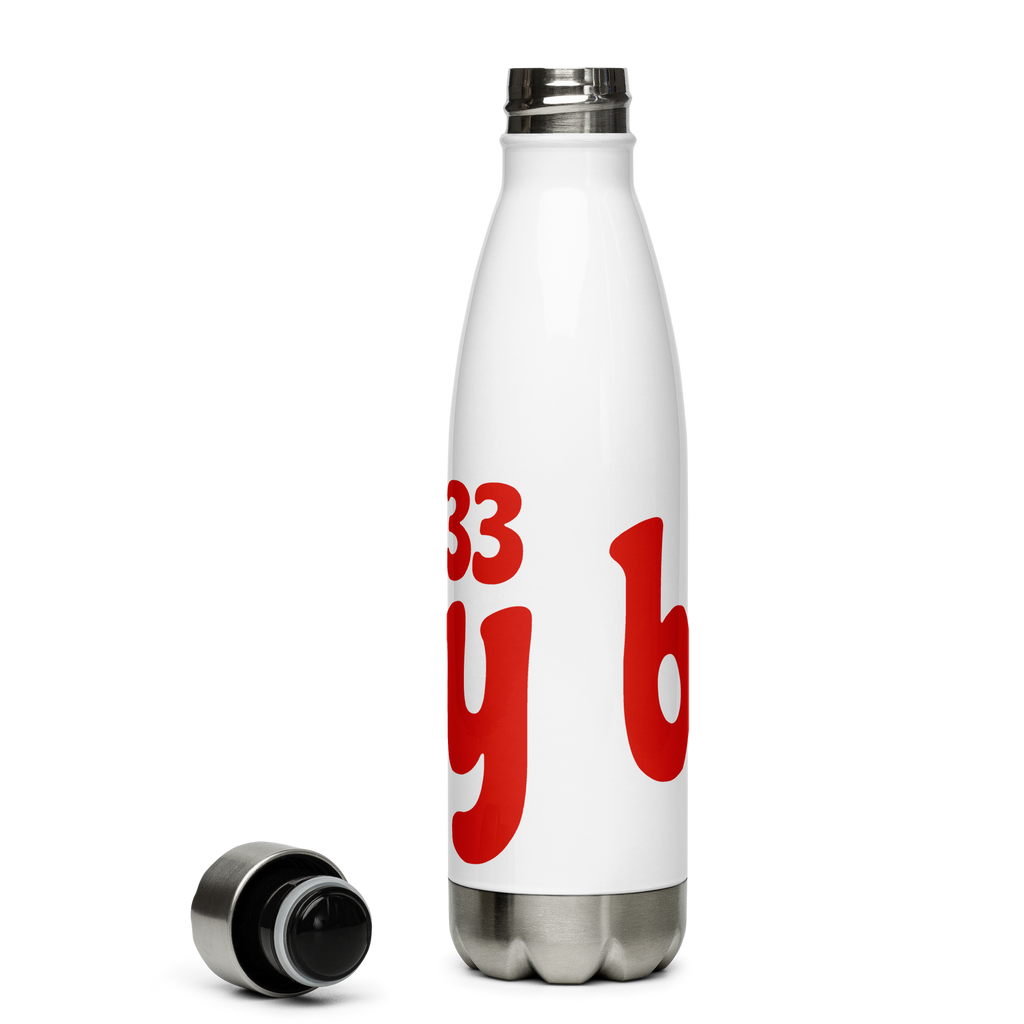 Bhilly 33 Stainless Steel Water Bottle 17oz | Printed Graphics