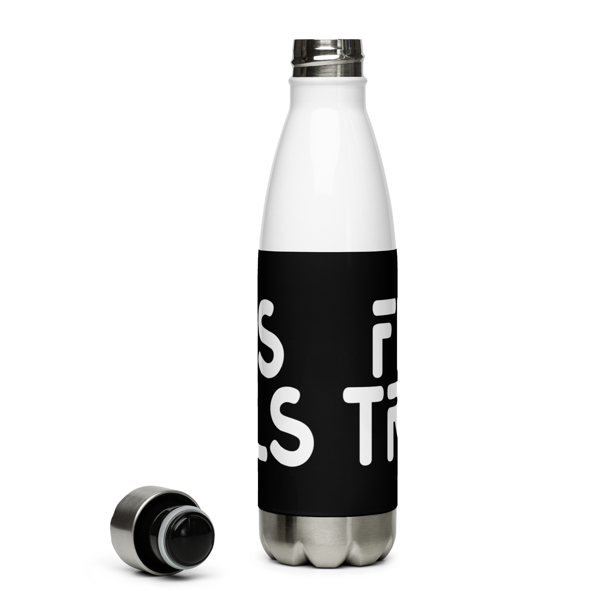 Fluffs Travels Stainless Steel Water Bottle 17oz | Printed Graphics