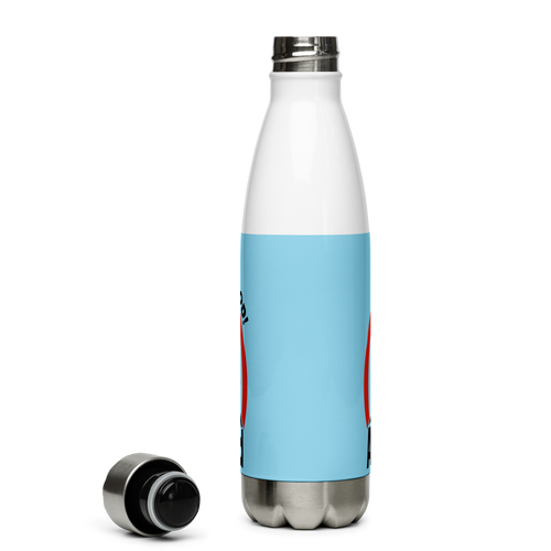 Aint Life Grand Mountains Stainless Steel Water Bottle 17oz | UV Printed Graphics