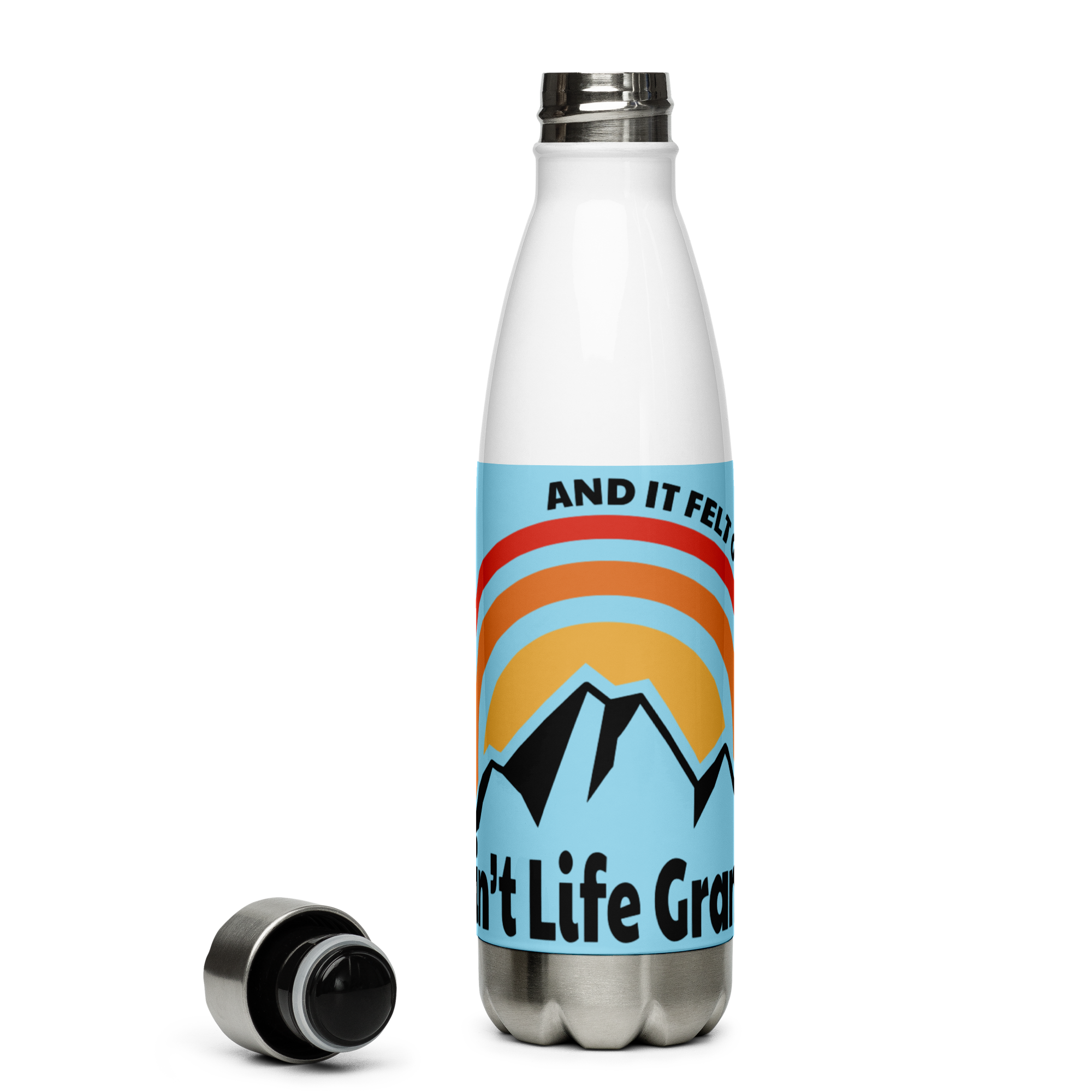 Aint Life Grand Mountains Stainless Steel Water Bottle 17oz | UV Printed Graphics