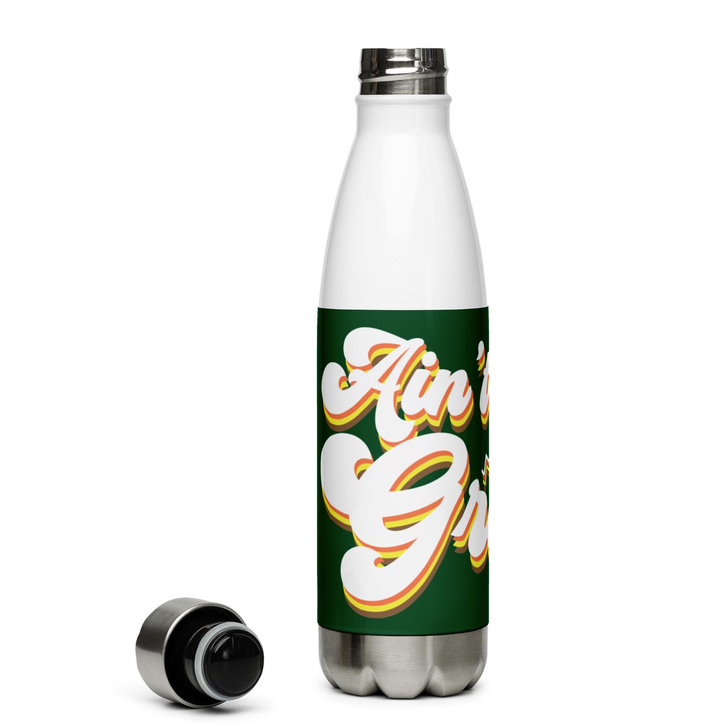 Ain't Life Grand Stainless Steel Water Bottle 17oz | Printed Graphics