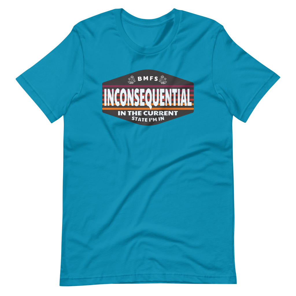 Inconsequential In The Current State I'm In Unisex t-shirt Bella + Canvas Premium Cotton | 33 BMFS THE GOAT