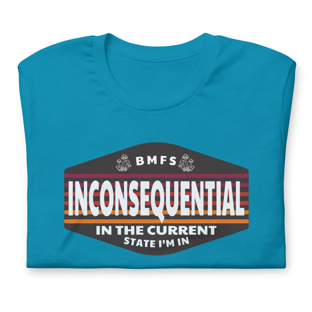 Inconsequential In The Current State I'm In Unisex t-shirt Bella + Canvas Premium Cotton | 33 BMFS THE GOAT
