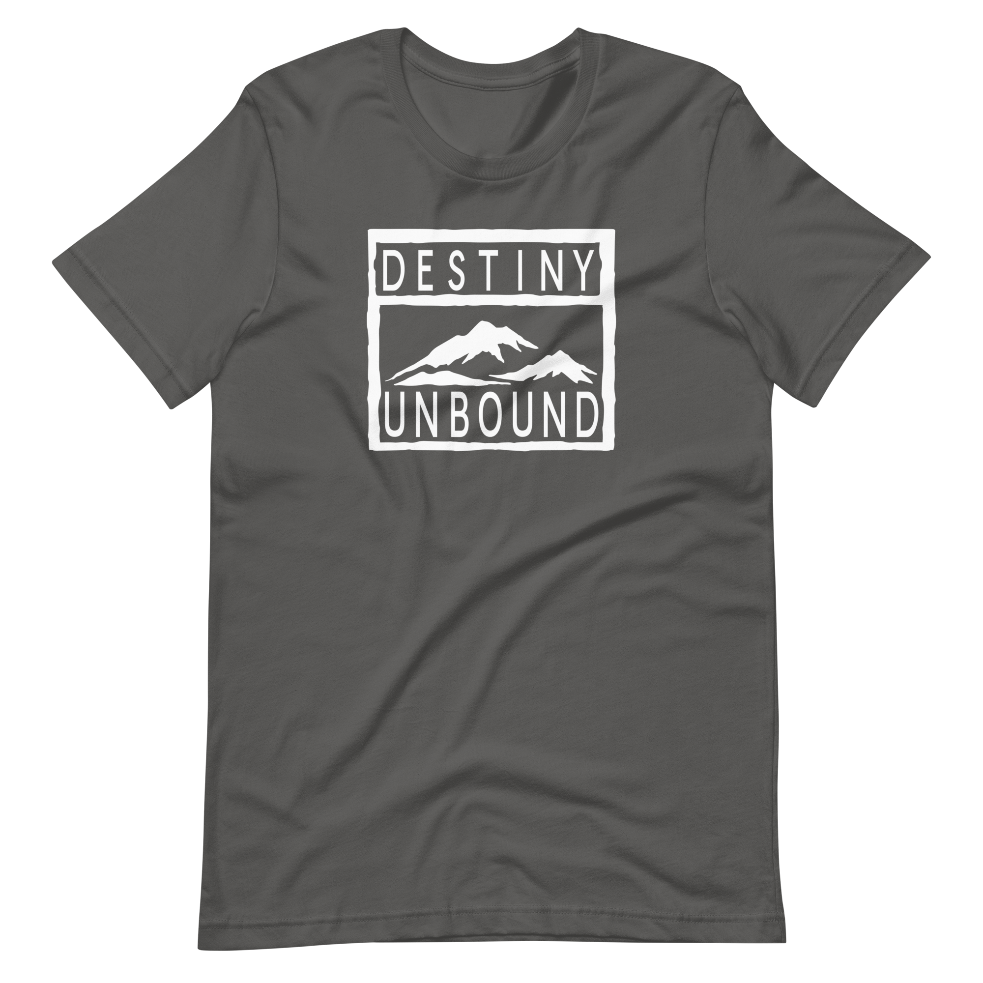 Destiny Unbound | Bella + Canvas Premium cotton | Short Sleeve