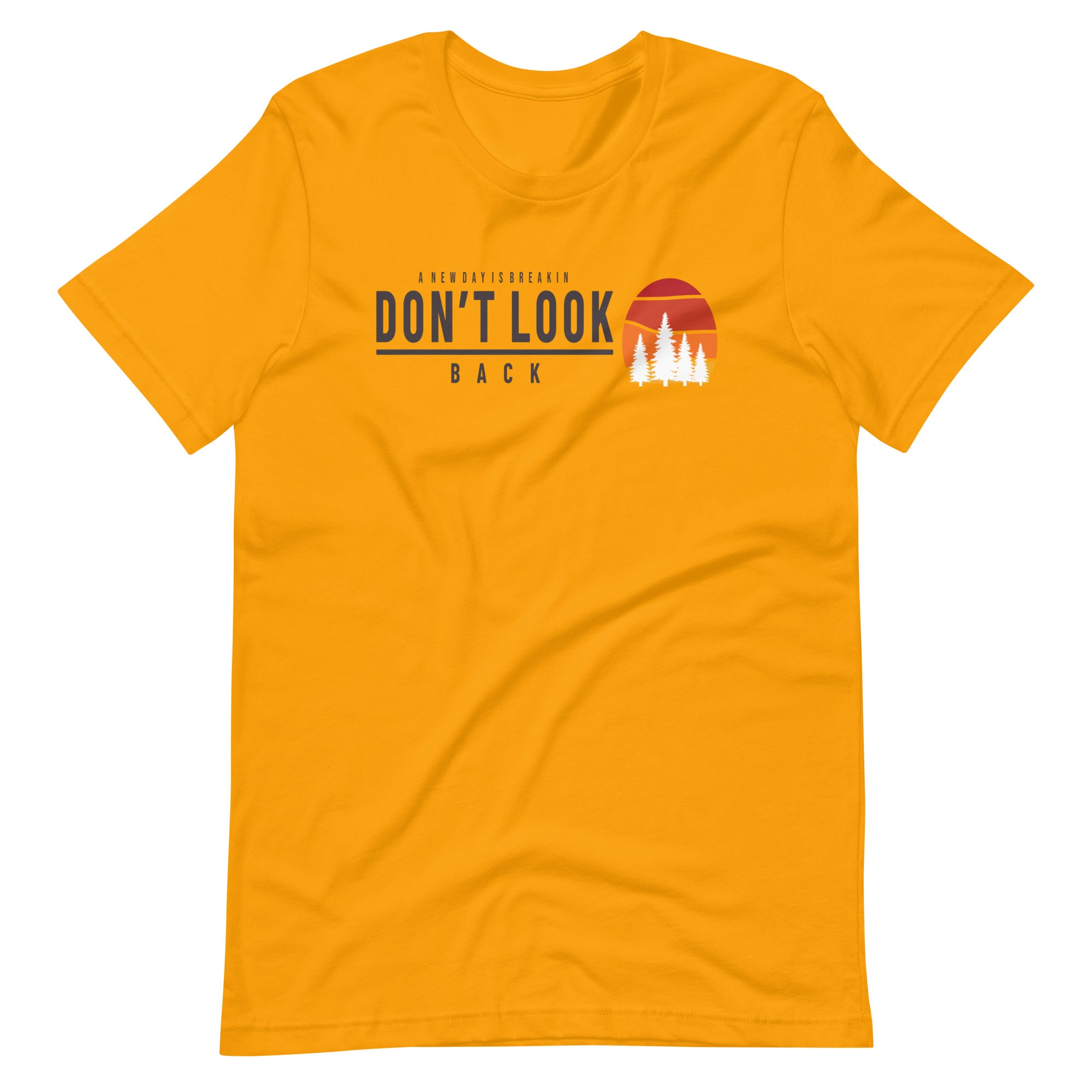 Don't Look Back Bella + Canvas Premium Cotton | 33 BMFS THE GOAT