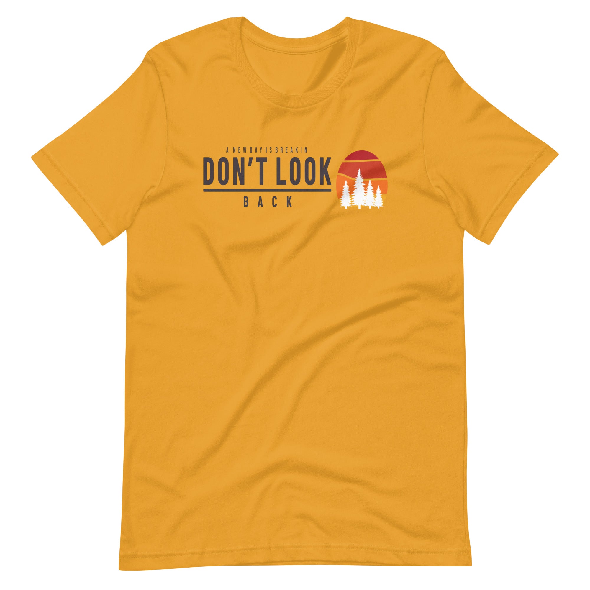 Don't Look Back Bella + Canvas Premium Cotton | 33 BMFS THE GOAT